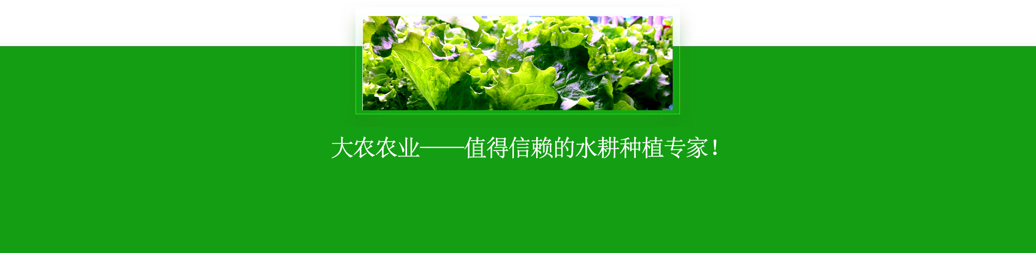 &#20061;&#28216;&#23448;&#26041;&#32593;&#39029;&#29256;&#45;&#20061;&#28216;&#40;&#20013;&#22269;&#41;