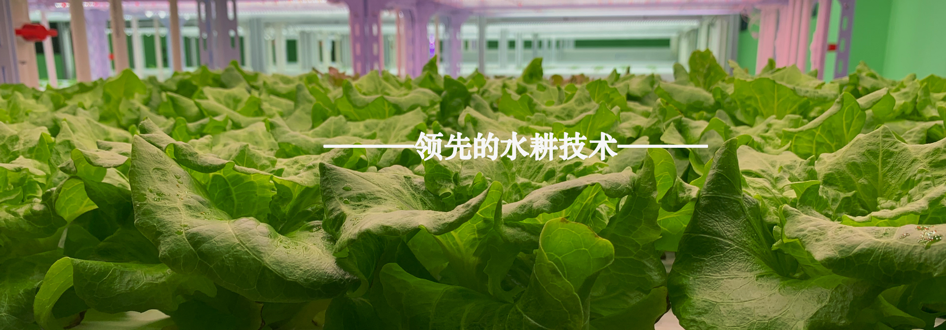 &#20061;&#28216;&#23448;&#26041;&#32593;&#39029;&#29256;&#45;&#20061;&#28216;&#40;&#20013;&#22269;&#41;