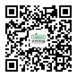 &#20061;&#28216;&#23448;&#26041;&#32593;&#39029;&#29256;&#45;&#20061;&#28216;&#40;&#20013;&#22269;&#41;